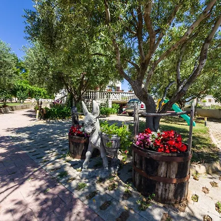 By The Sea Zdrelac, Pasman - 12662