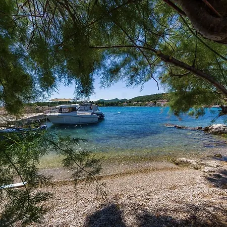 Apartamento By The Sea Zdrelac, Pasman - 12662